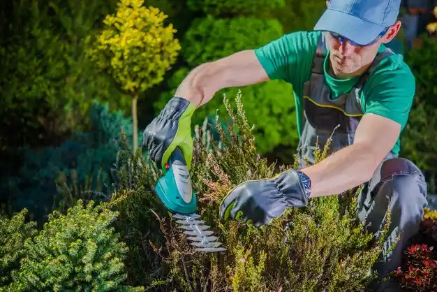 landscaping services Livonia